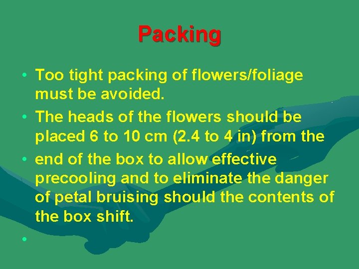 Packing • Too tight packing of flowers/foliage must be avoided. • The heads of