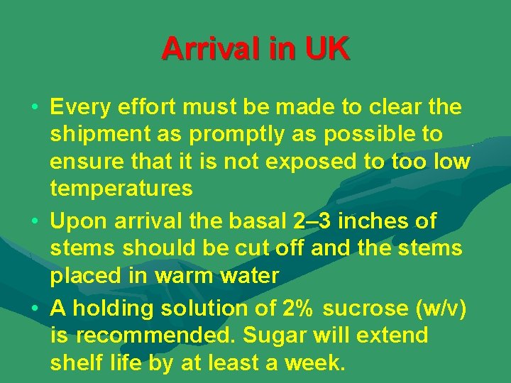 Arrival in UK • Every effort must be made to clear the shipment as