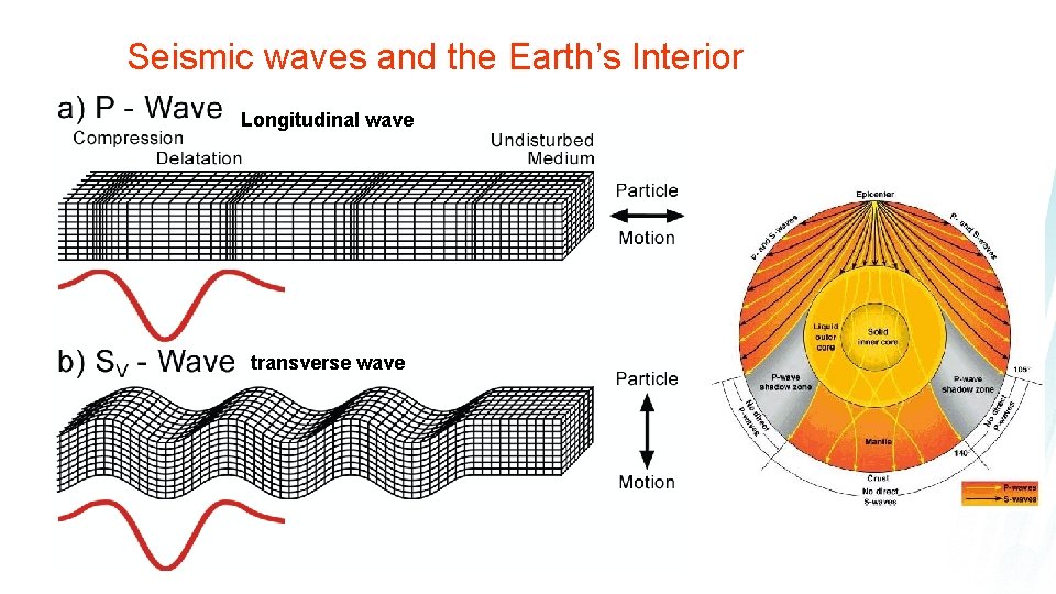 Seismic waves and the Earth’s Interior Longitudinal wave transverse wave 