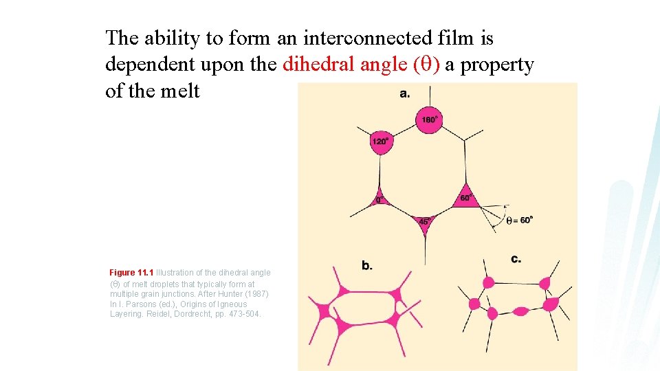 The ability to form an interconnected film is dependent upon the dihedral angle (