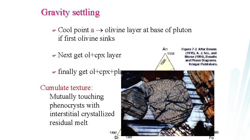 Gravity settling F Cool point a olivine layer at base of pluton if first