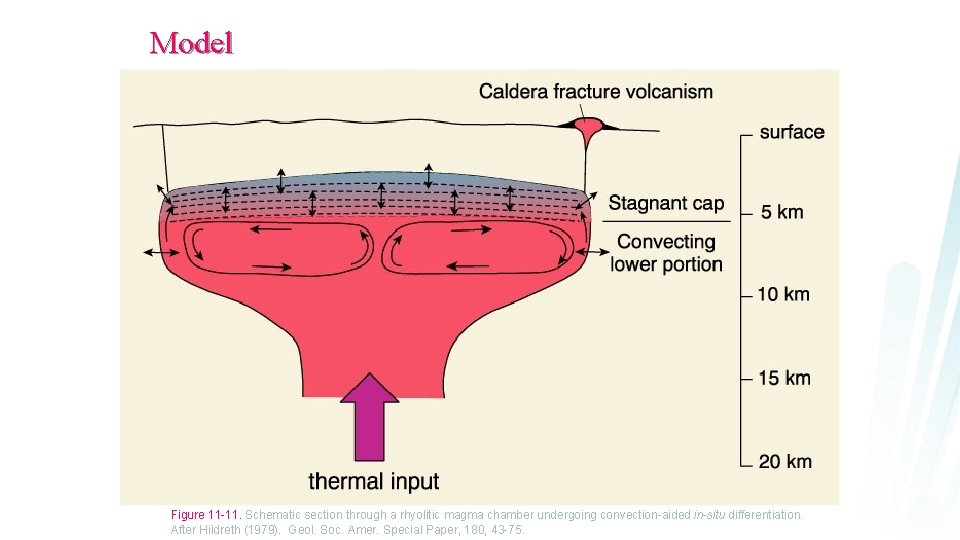 Model Figure 11 -11. Schematic section through a rhyolitic magma chamber undergoing convection-aided in-situ