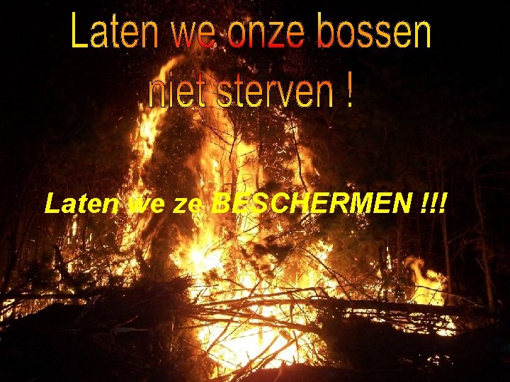 Laten we ze BESCHERMEN !!! 