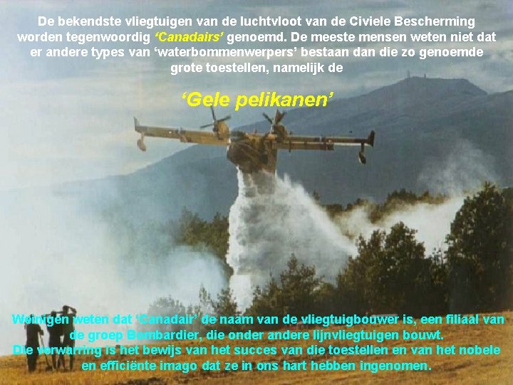 De bekendste vliegtuigen van de luchtvloot van de Civiele Bescherming worden tegenwoordig ‘Canadairs’ genoemd.