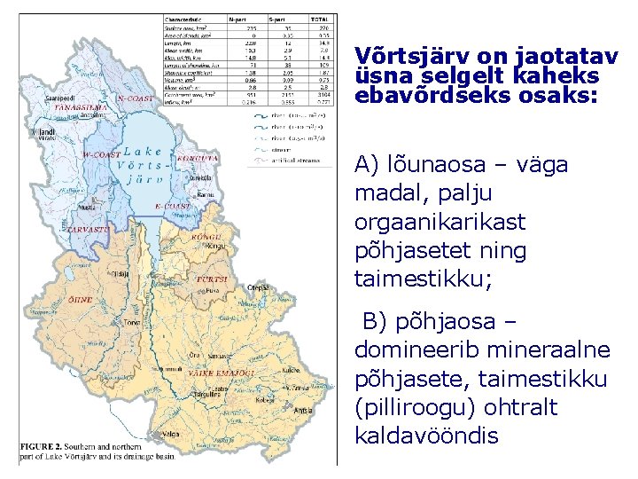 Võrtsjärv on jaotatav üsna selgelt kaheks ebavõrdseks osaks: A) lõunaosa – väga madal, palju