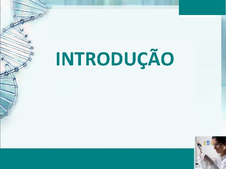 INTRODUÇÃO Aula 6 – Momento 2 