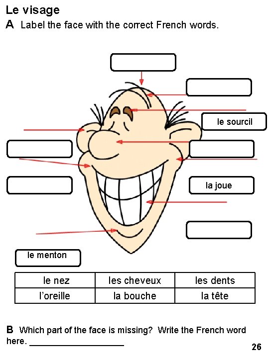 Le visage A Label the face with the correct French words. le sourcil la