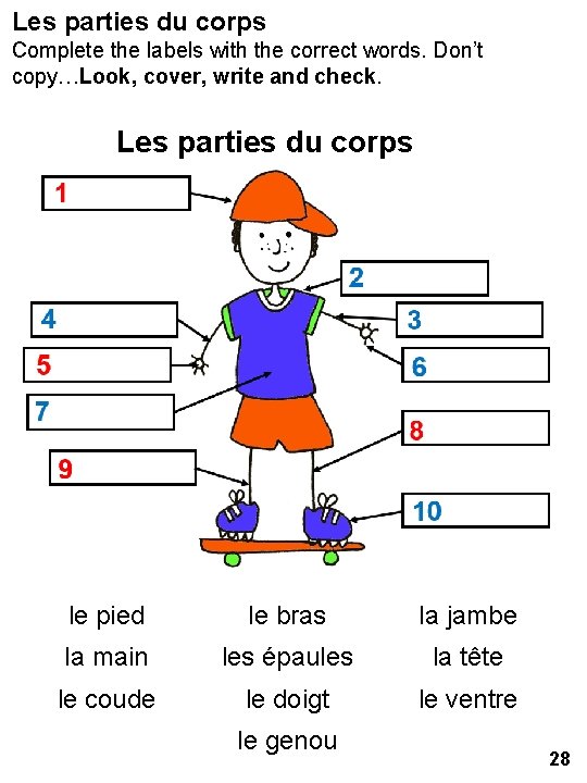 Les parties du corps Complete the labels with the correct words. Don’t copy…Look, cover,