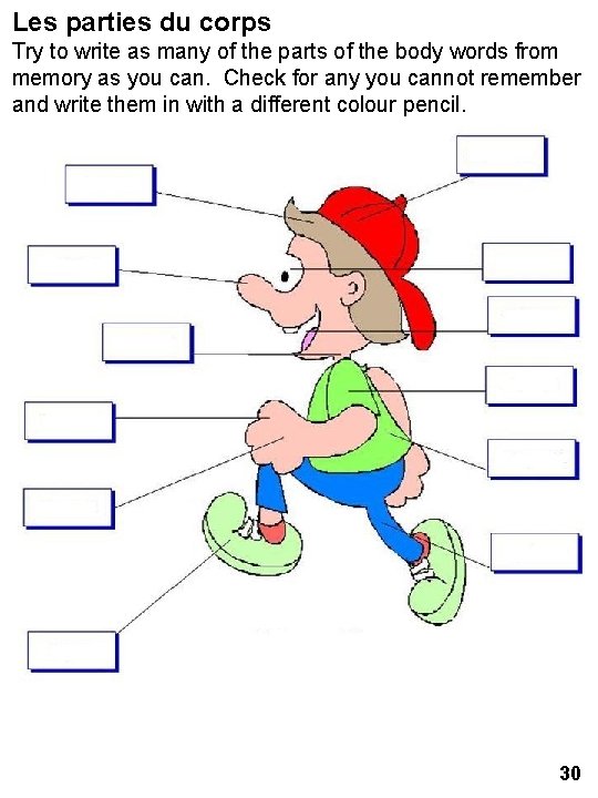 Les parties du corps Try to write as many of the parts of the