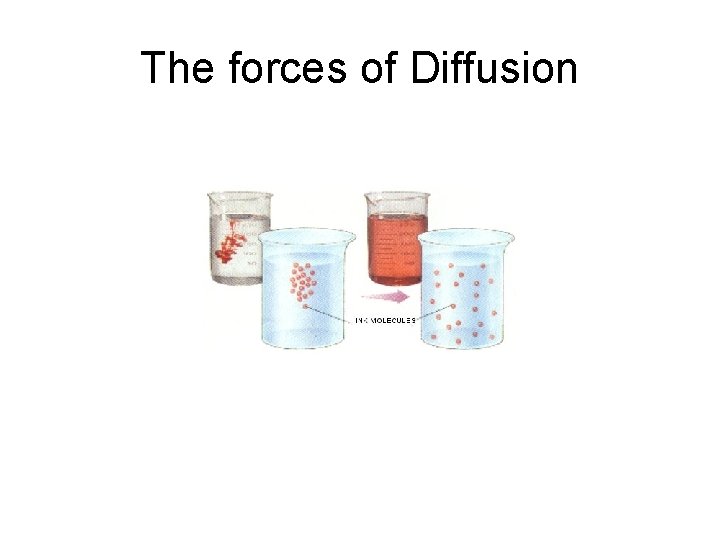 The forces of Diffusion 