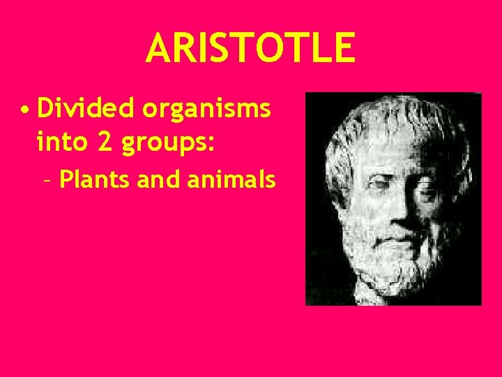 ARISTOTLE • Divided organisms into 2 groups: – Plants and animals 