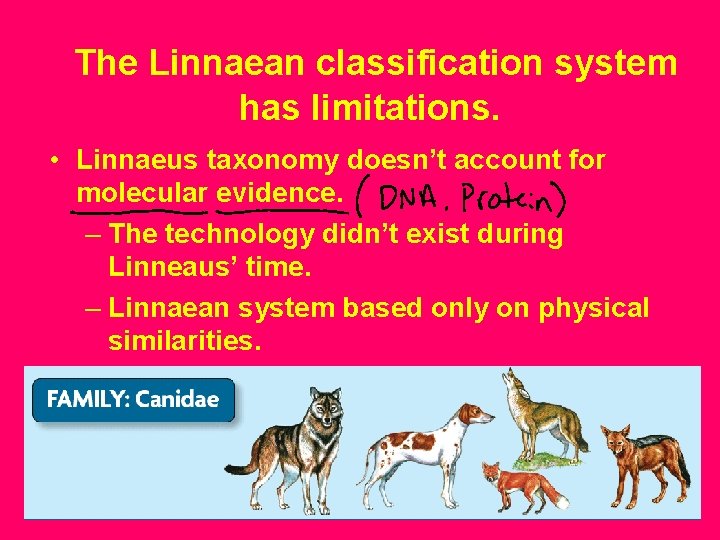 The Linnaean classification system has limitations. • Linnaeus taxonomy doesn’t account for molecular evidence.