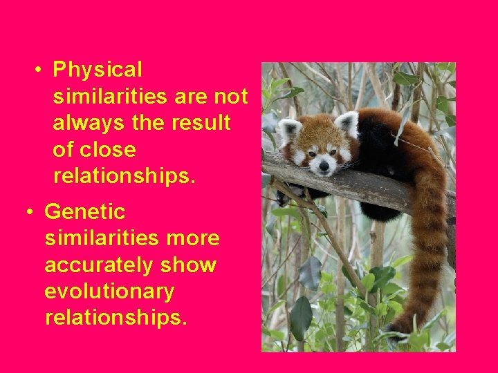  • Physical similarities are not always the result of close relationships. • Genetic