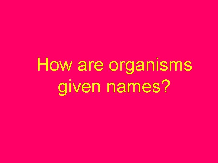 How are organisms given names? 