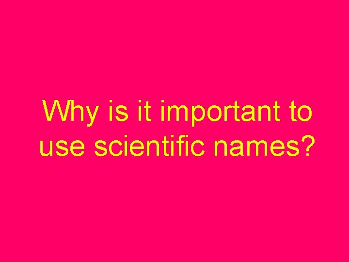 Why is it important to use scientific names? 