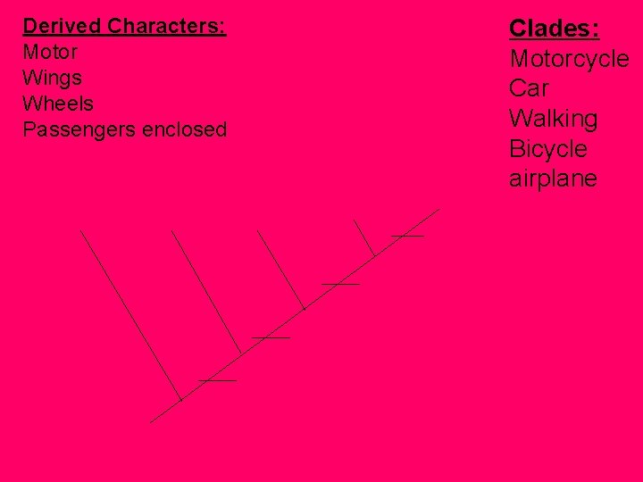 Derived Characters: Motor Wings Wheels Passengers enclosed Clades: Motorcycle Car Walking Bicycle airplane 