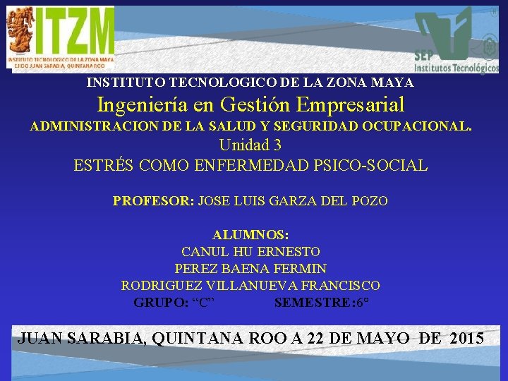 INSTITUTO TECNOLOGICO DE LA ZONA MAYA Ingeniería en Gestión Empresarial ADMINISTRACION DE LA SALUD