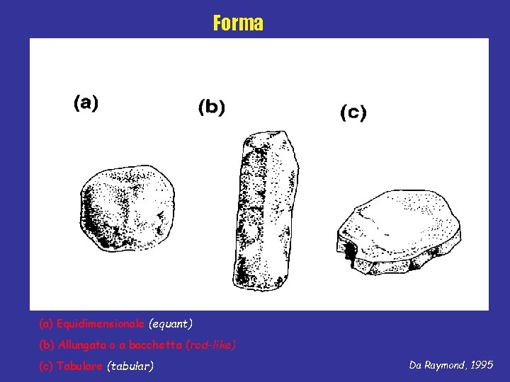 Forma (a) Equidimensionale (equant) (b) Allungata o a bacchetta (rod-like) (c) Tabulare (tabular) Da