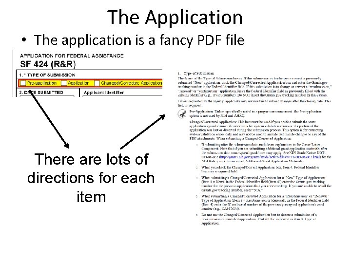 The Application • The application is a fancy PDF file There are lots of