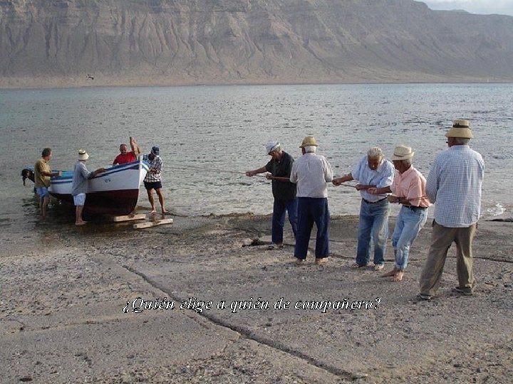 ¿Quién elige a quién de compañero? 