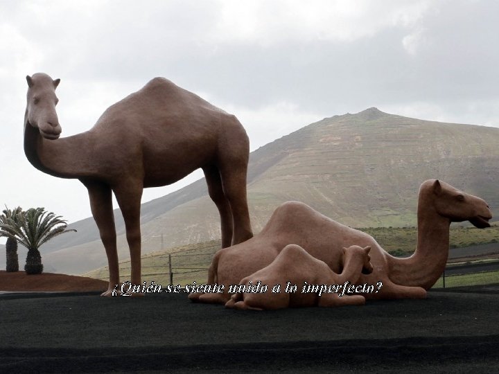 ¿Quién se siente unido a lo imperfecto? 