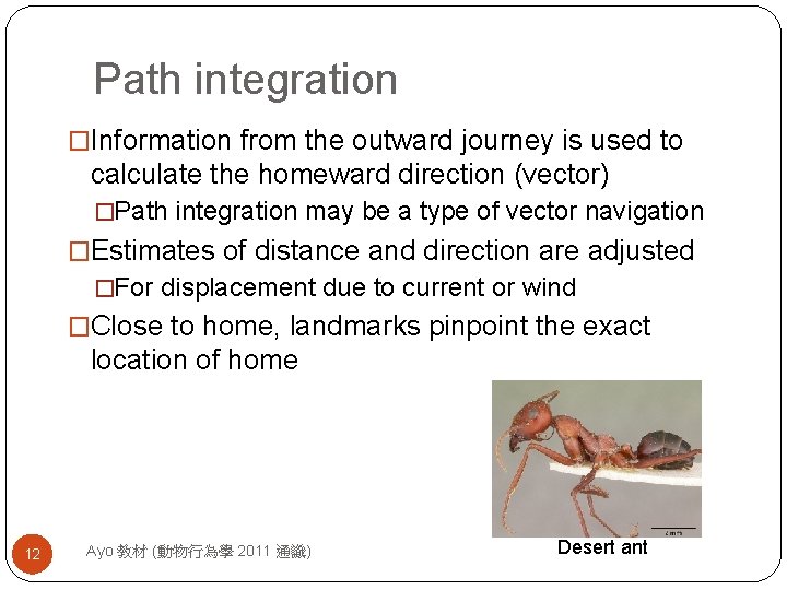 Path integration �Information from the outward journey is used to calculate the homeward direction