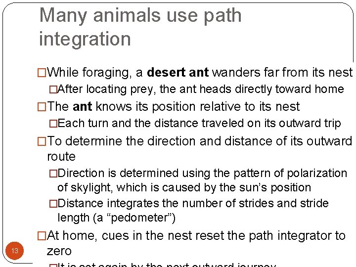 Many animals use path integration �While foraging, a desert ant wanders far from its