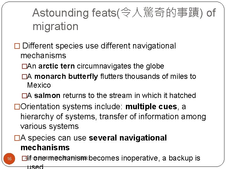 Astounding feats(令人驚奇的事蹟) of migration � Different species use different navigational mechanisms �An arctic tern