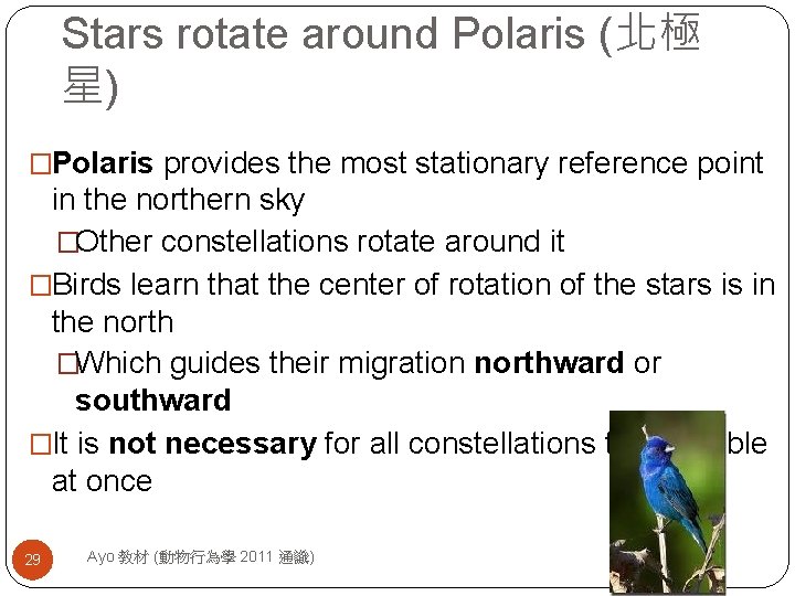 Stars rotate around Polaris (北極 星) �Polaris provides the most stationary reference point in