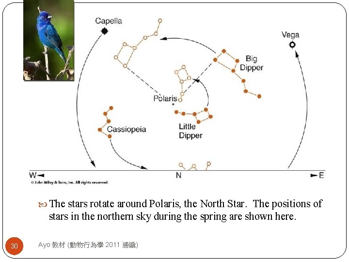  The stars rotate around Polaris, the North Star. The positions of stars in
