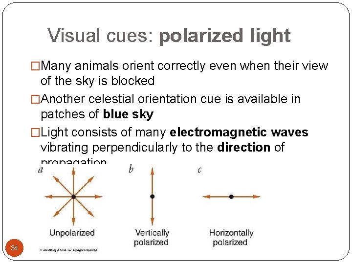 Visual cues: polarized light �Many animals orient correctly even when their view of the