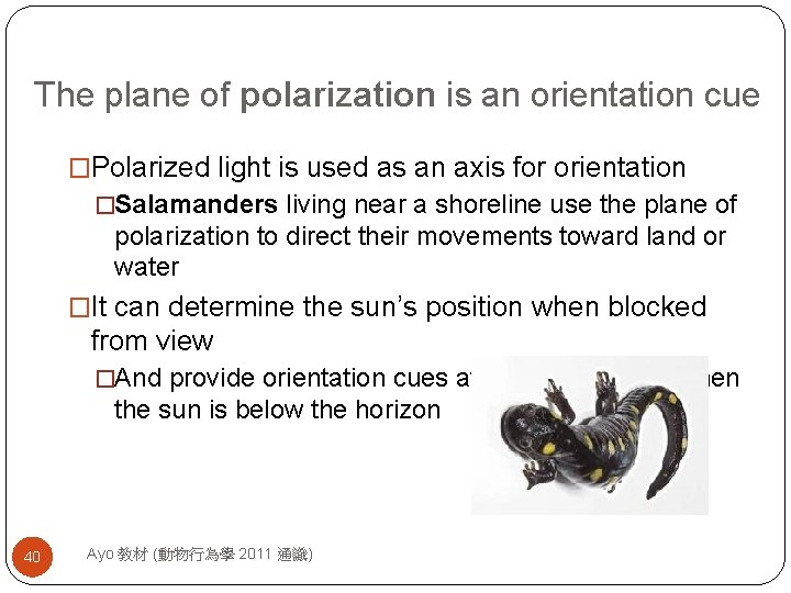 The plane of polarization is an orientation cue �Polarized light is used as an