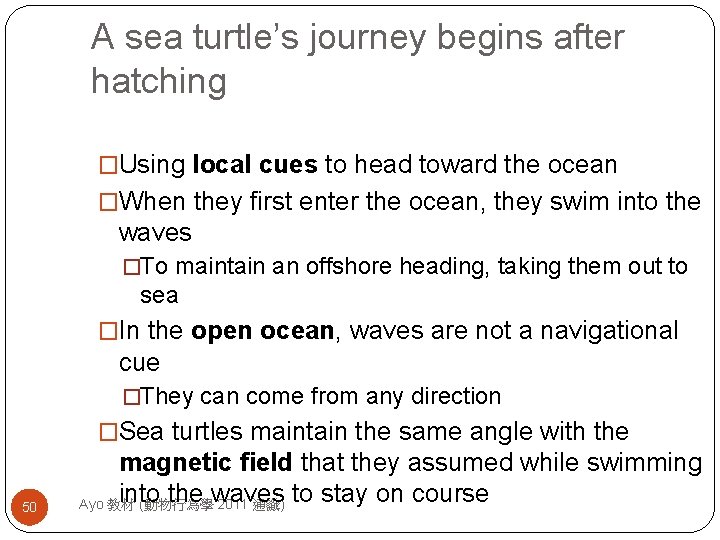 A sea turtle’s journey begins after hatching �Using local cues to head toward the