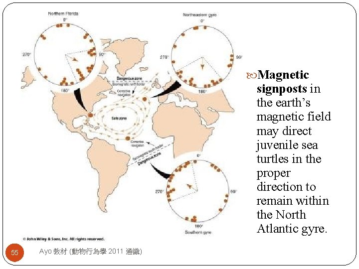  Magnetic signposts in the earth’s magnetic field may direct juvenile sea turtles in