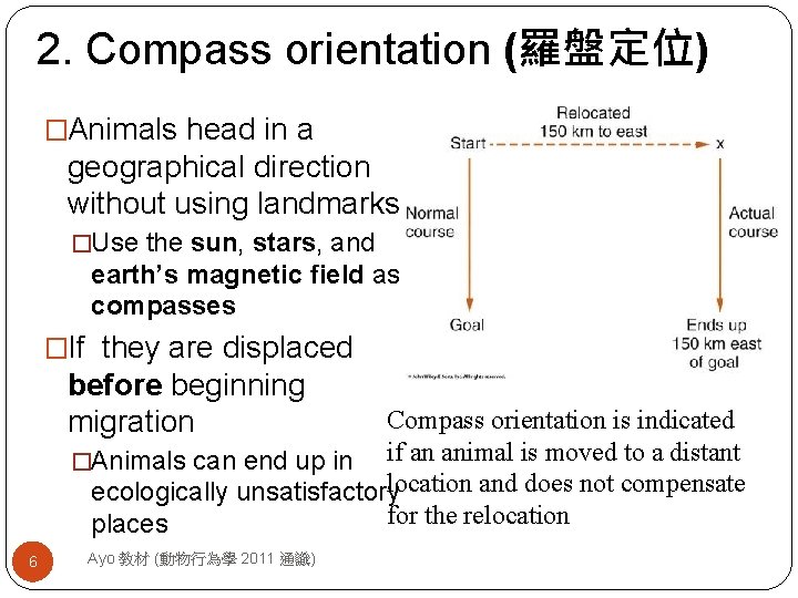 2. Compass orientation (羅盤定位) �Animals head in a geographical direction without using landmarks �Use