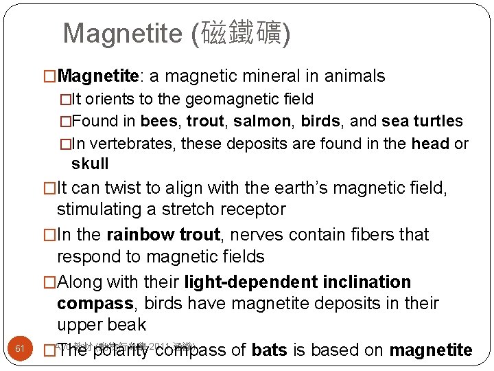 Magnetite (磁鐵礦) �Magnetite: a magnetic mineral in animals �It orients to the geomagnetic field