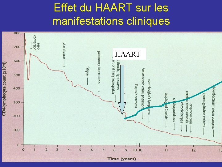 Effet du HAART sur les manifestations cliniques HAART 