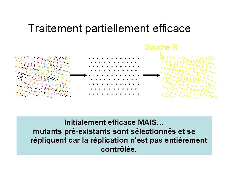 Traitement partiellement efficace Souche R Initialement efficace MAIS… mutants pré-existants sont sélectionnés et se