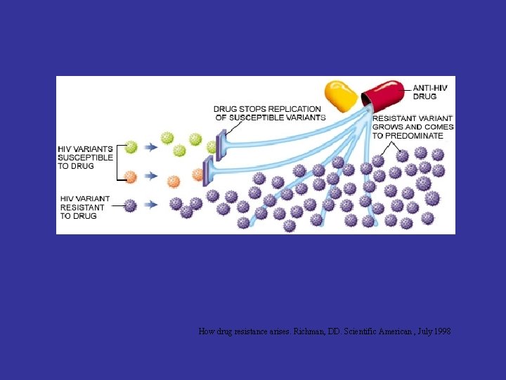 How drug resistance arises. Richman, DD. Scientific American , July 1998 