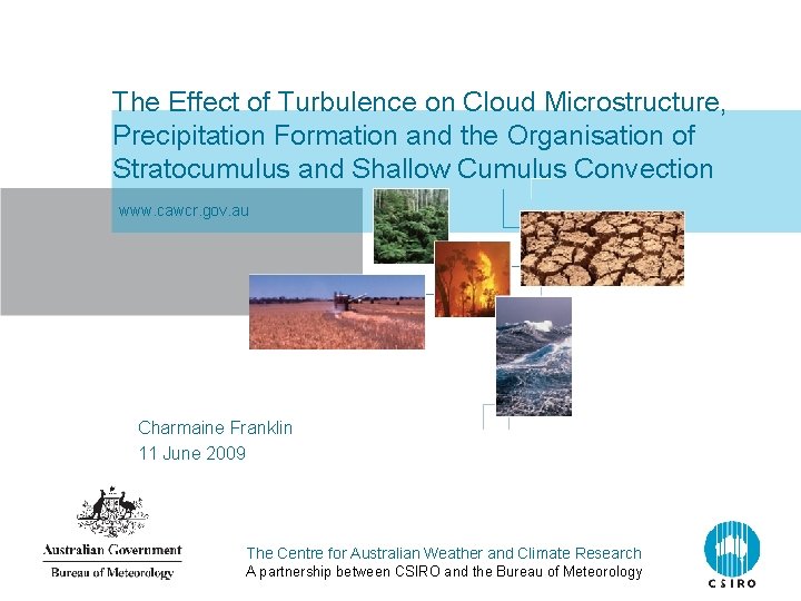 The Effect of Turbulence on Cloud Microstructure, Precipitation Formation and the Organisation of Stratocumulus
