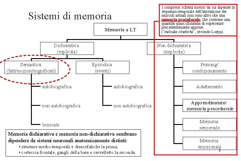 Sistemi di memoria Memoria a LT Dichiarativa (esplicita) Semantica (fattinozionisignificati) I complessi schemi motori