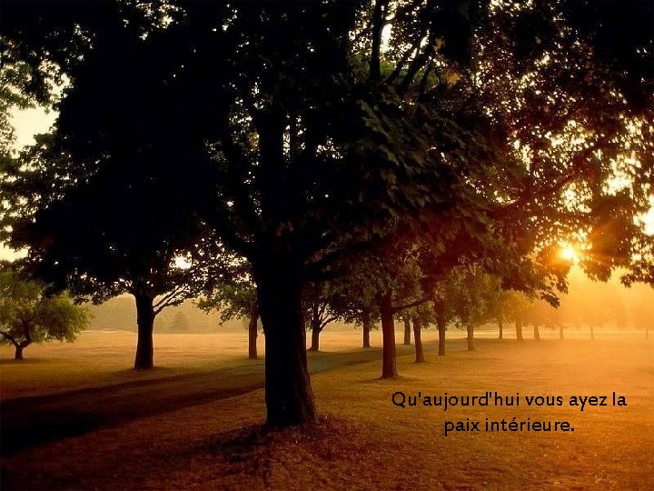 Qu'aujourd'hui vous ayez la paix intérieure. Qu'aujourd'hui vous ayez la paix intérieure.
