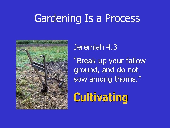 Gardening Is a Process Jeremiah 4: 3 “Break up your fallow ground, and do