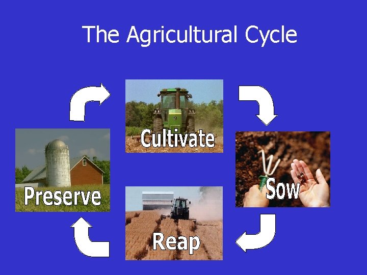 The Agricultural Cycle 