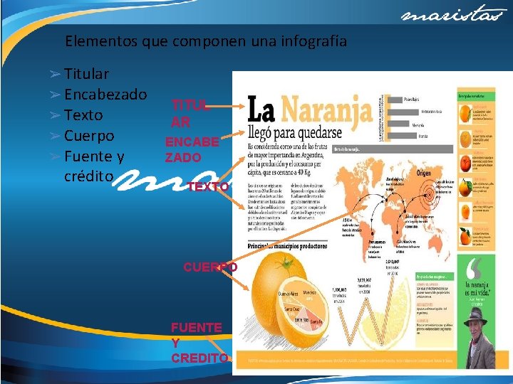 Elementos que componen una infografía ➢ Titular ➢ Encabezado ➢ Texto ➢ Cuerpo ➢