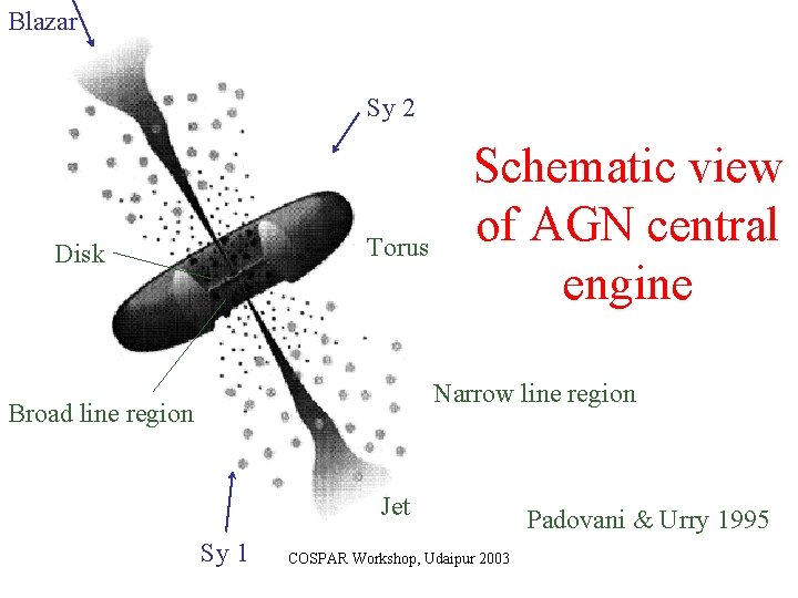 Blazar Sy 2 Torus Disk Schematic view of AGN central engine Narrow line region