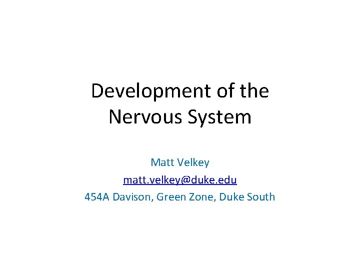 Development of the Nervous System Matt Velkey matt. velkey@duke. edu 454 A Davison, Green Development of the Nervous System Matt Velkey matt. velkey@duke. edu 454 A Davison, Green