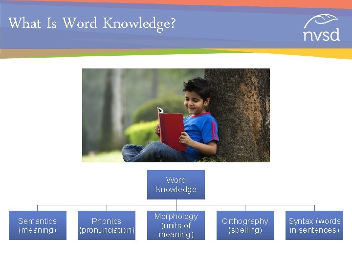 Word Knowledge Examples Word Knowledge JULIE JENNY JOHNEEN Big Idea Word