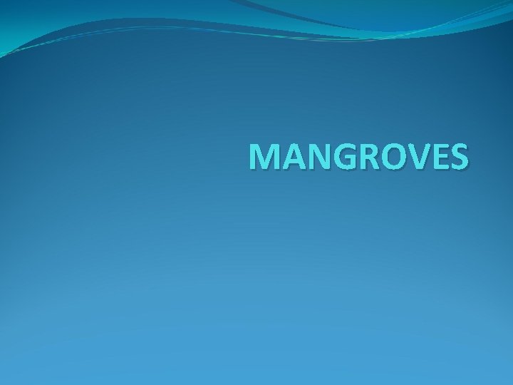 MANGROVES 