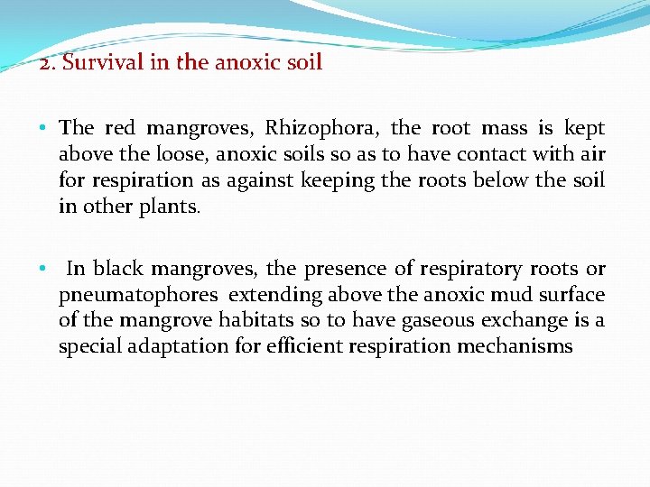 2. Survival in the anoxic soil • The red mangroves, Rhizophora, the root mass